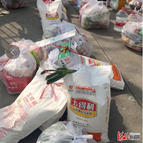 政企協同打通民生補給通道 河北廊坊日用品銷售新模式探析